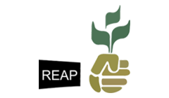 Rice Exporters Association of Pakistan logo