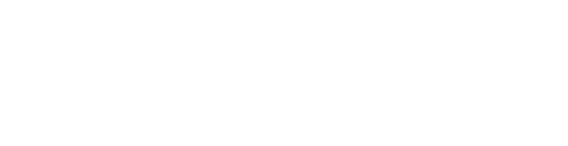 Shahpur Foods logo
